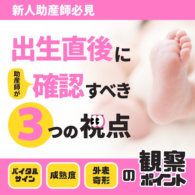 【新人助産師必見】出生直後に助産師が確認すべき3つの視点｜バイタルサイン・成熟度・外表奇形の観察ポイント