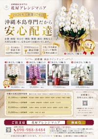 【制作実績】法人向け胡蝶蘭チラシの制作｜花屋アレンジマニア様（沖縄）