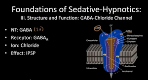 Foundation of Sedative-Hypnotics