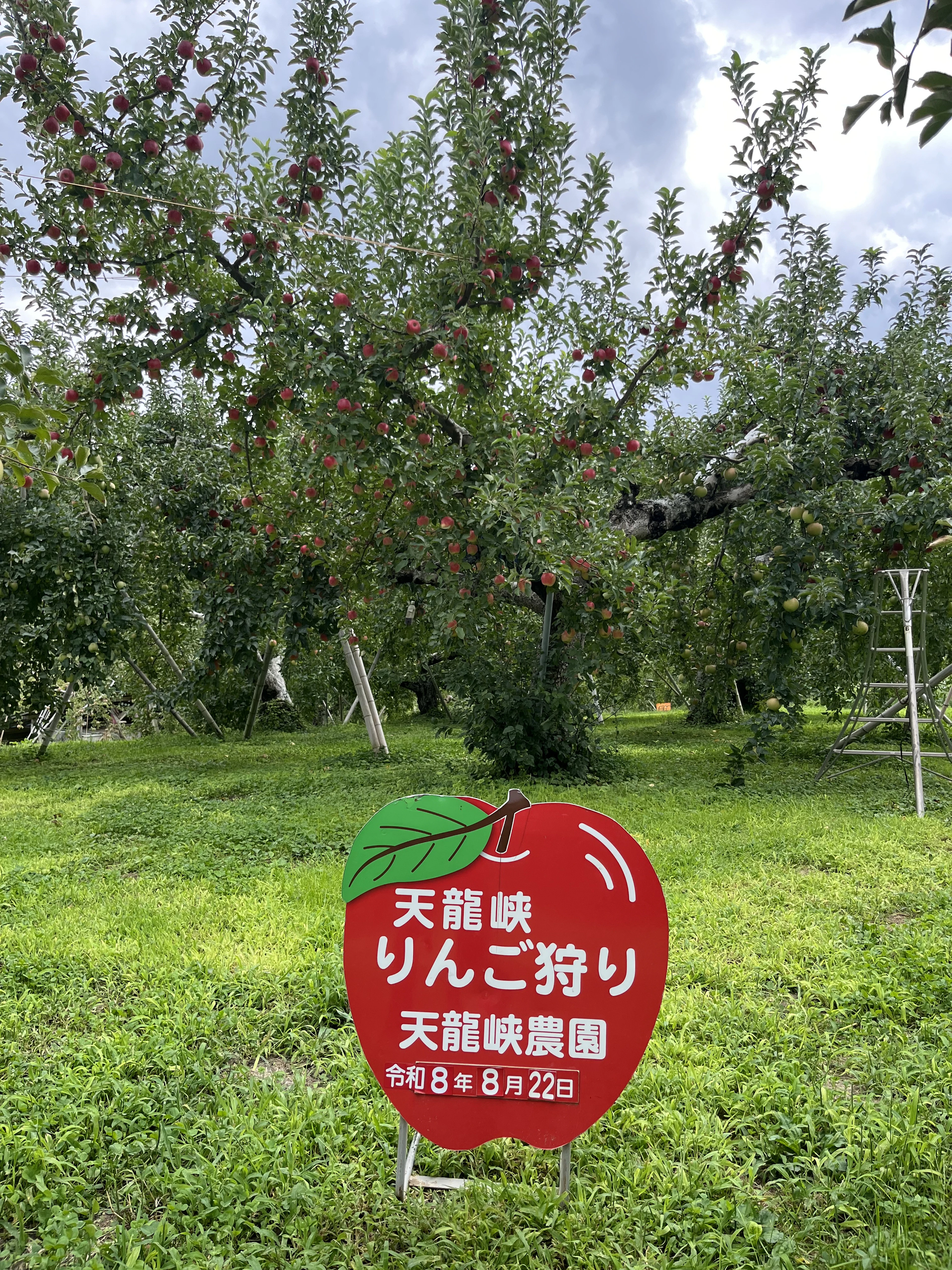 今シーズン開園しています