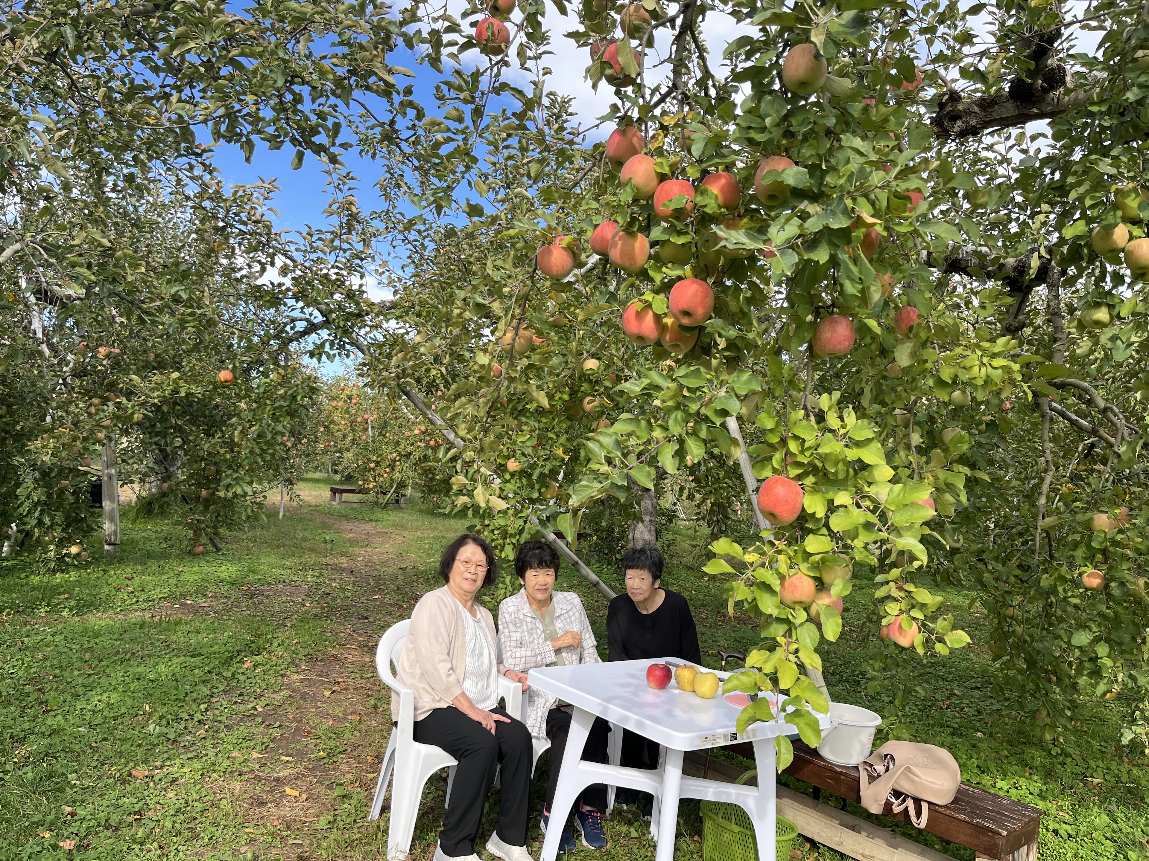 天龍峡農園本日のお客様