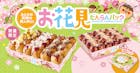 お花見だんらんパック　テイクアウト専用