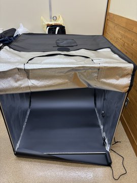 2025年8月ミーティング活動報告