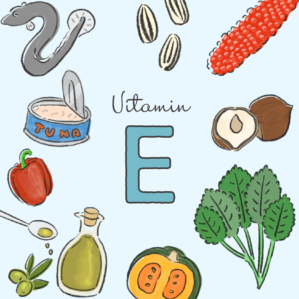栄養技能食品ビタミンE