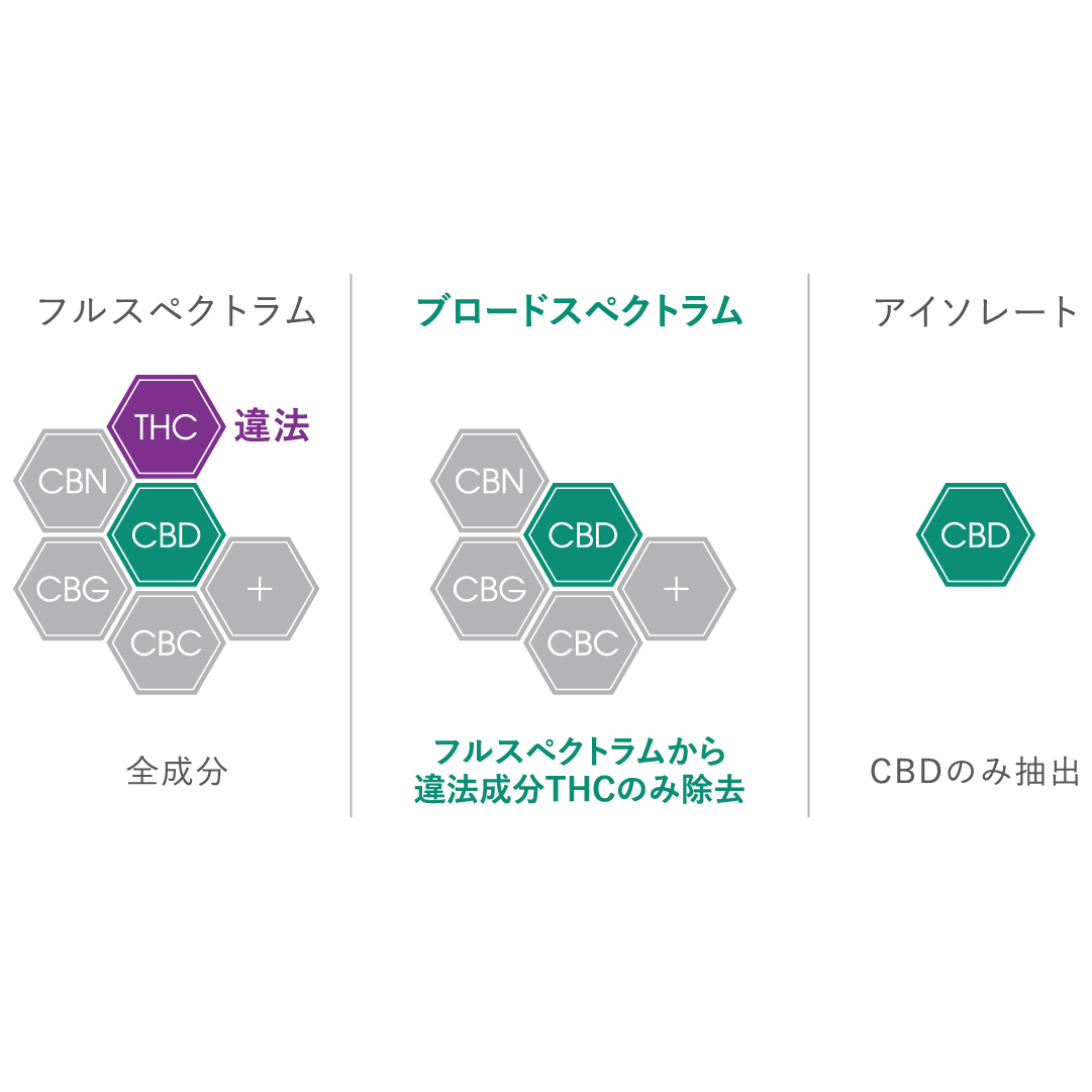 CBDの選び方】はじめてでも安心。自分に合う製品を見極めるためにLypo