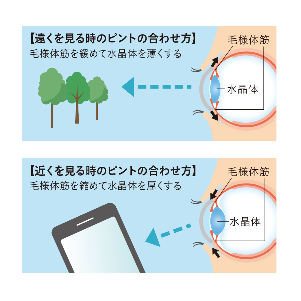 今から始めたい「目の健康づくり」｜Lypo-C マガジン｜吸収率にこだわったリポソームビタミンCなら、リポカプセルビタミンC【公式】