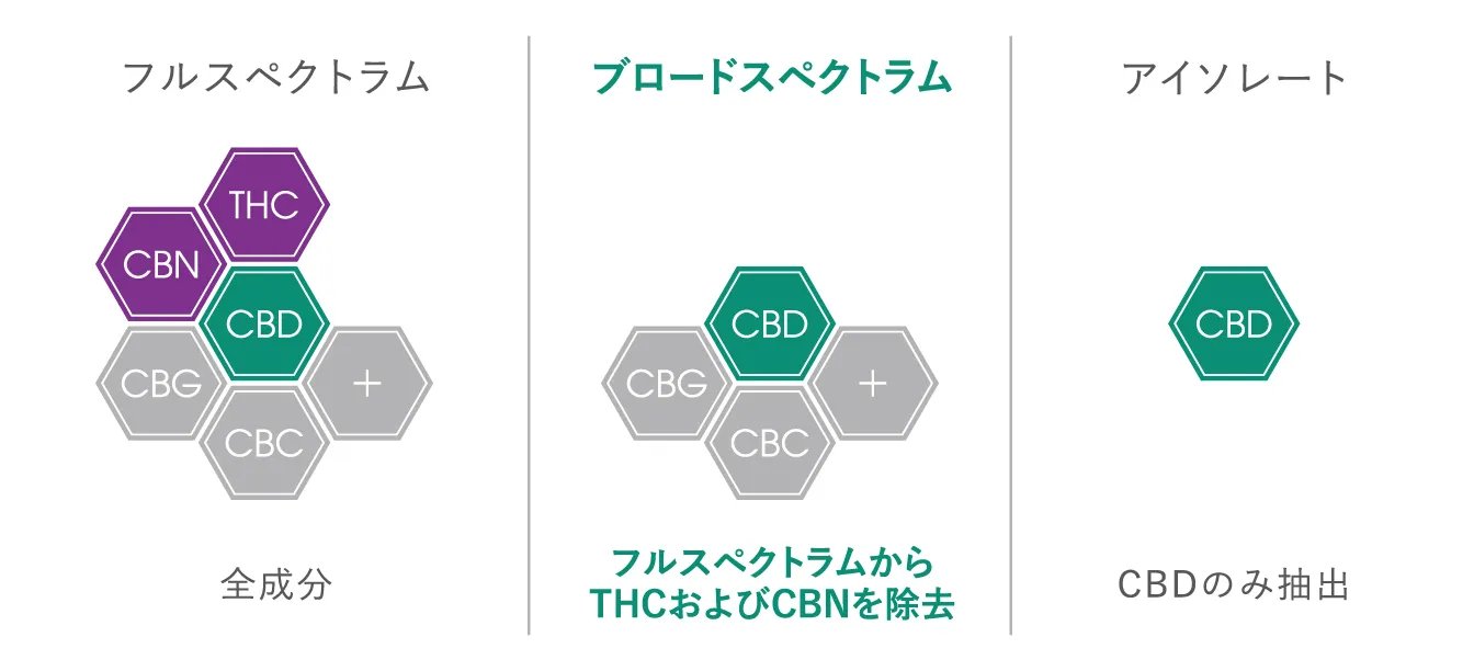 【新品未使用】２本セット/ホップCBD/フルスペクトラム CBDの選び方】はじめてでも安心。自分に合う製品を見極めるために
