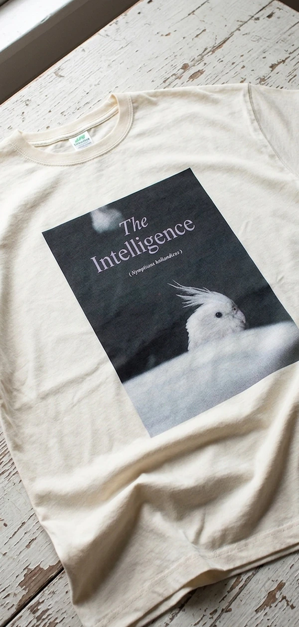 438256 Dtfprint Bigtshirt