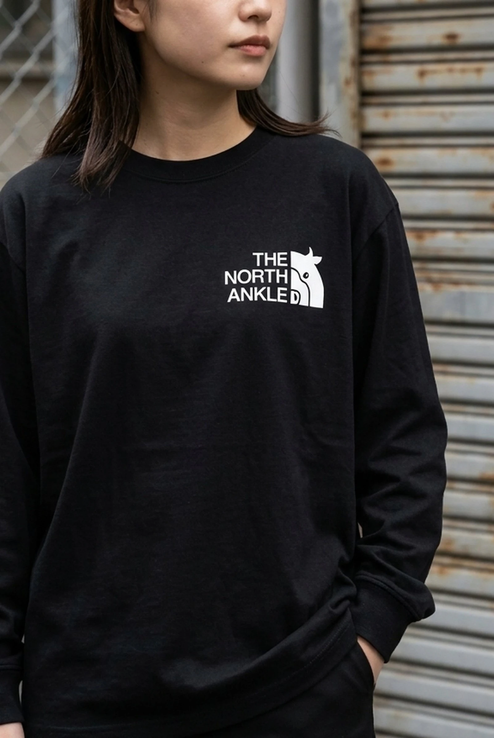 366988 Dtfprint Longtshirt