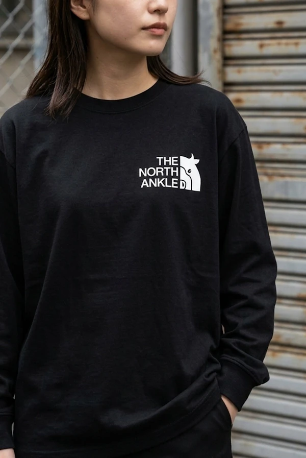 366988 Dtfprint Longtshirt