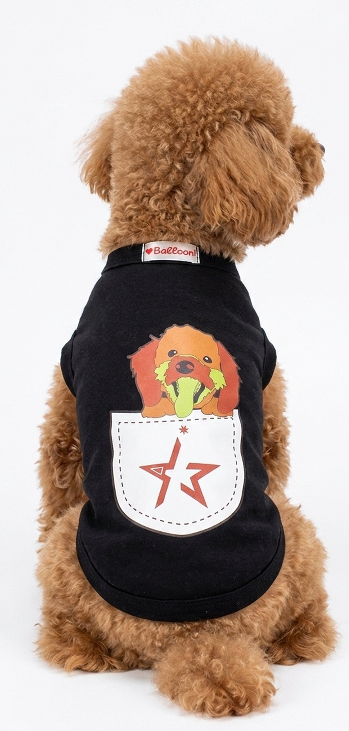 121721 Dtfprint Dogwear