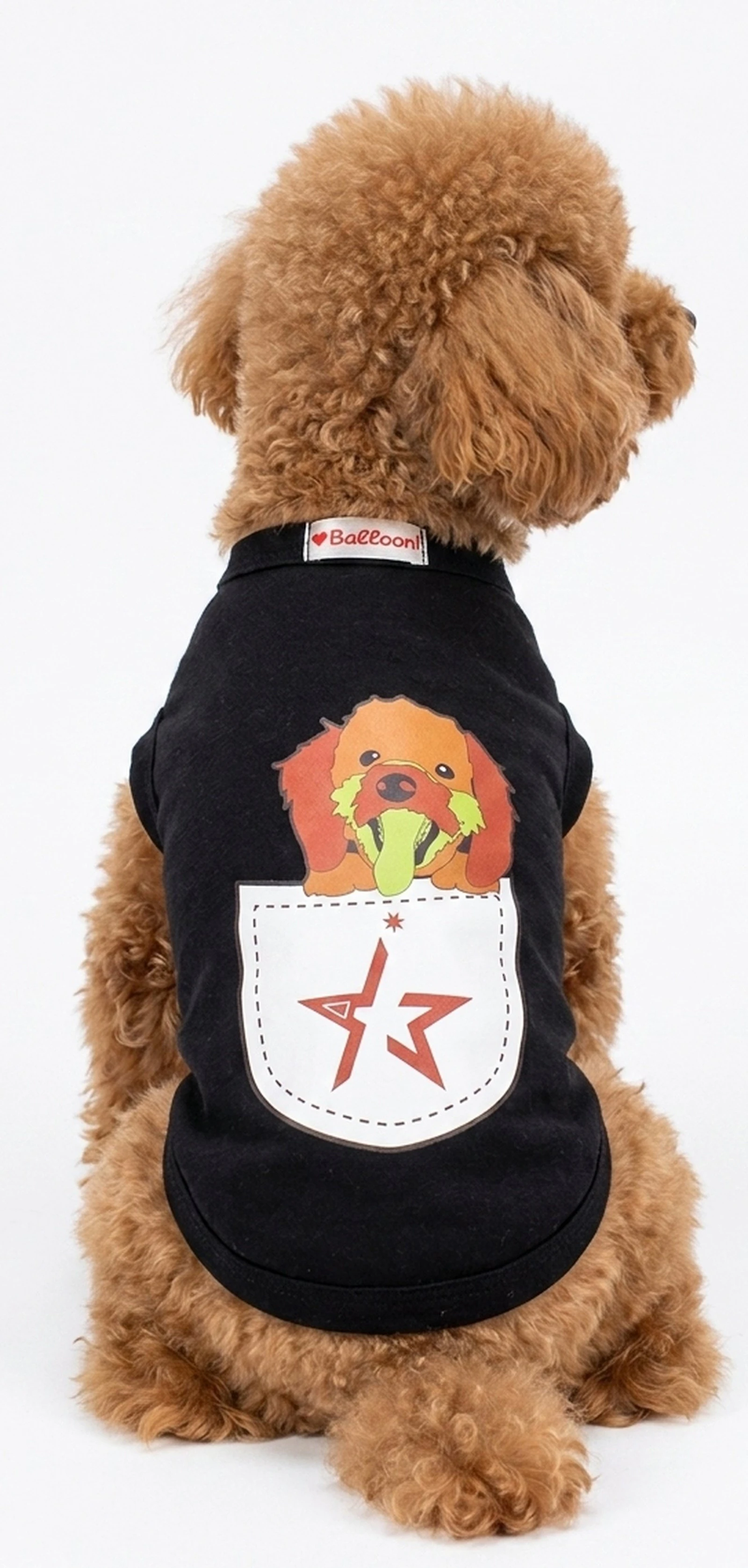 121721 Dtfprint Dogwear