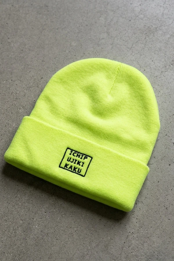 384891 Embroidery Knitcap