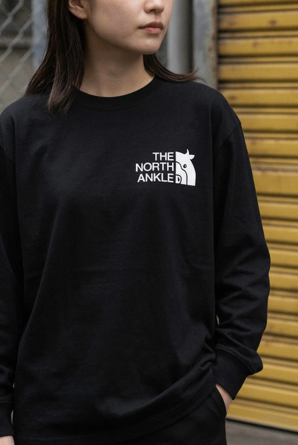 366988 Dtfprint Longtshirt