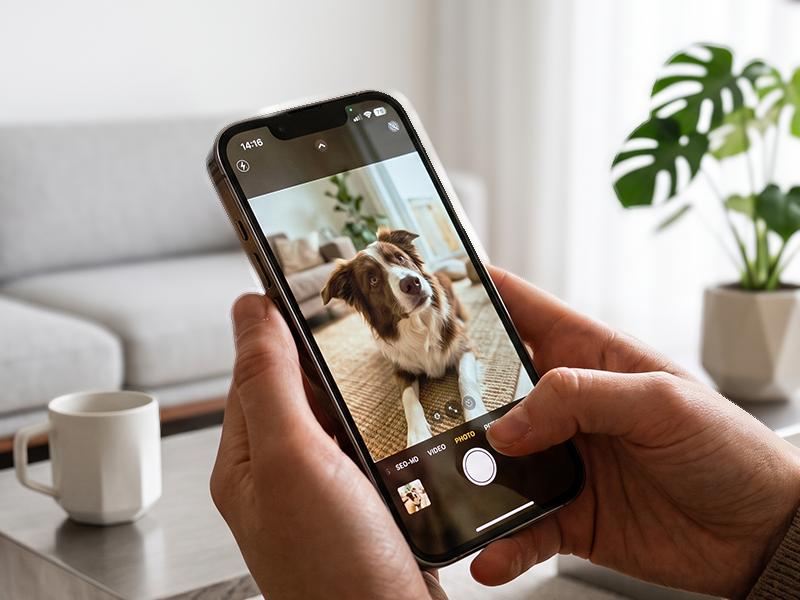 スマートフォンで撮影した参考写真