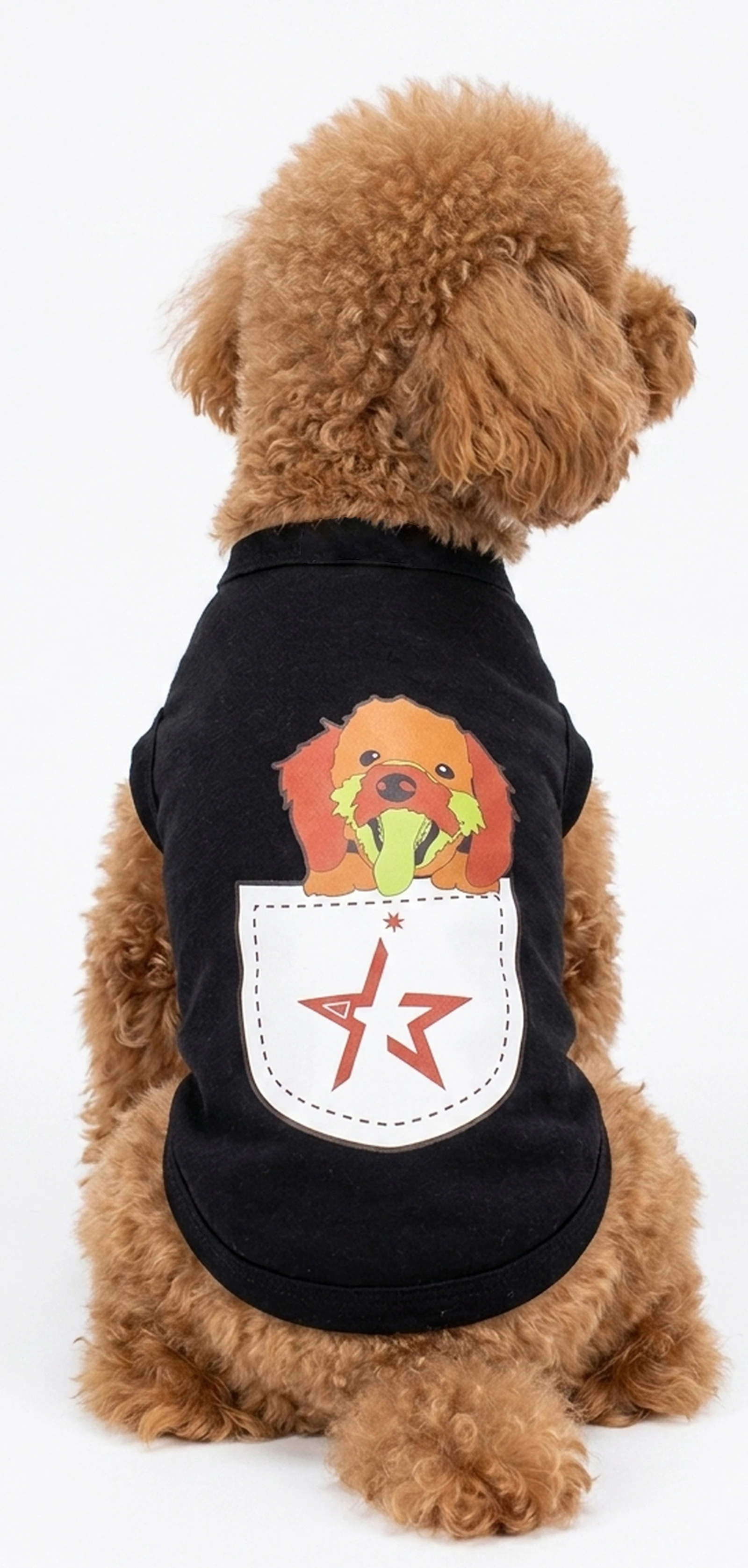 121721 Dtfprint Dogwear