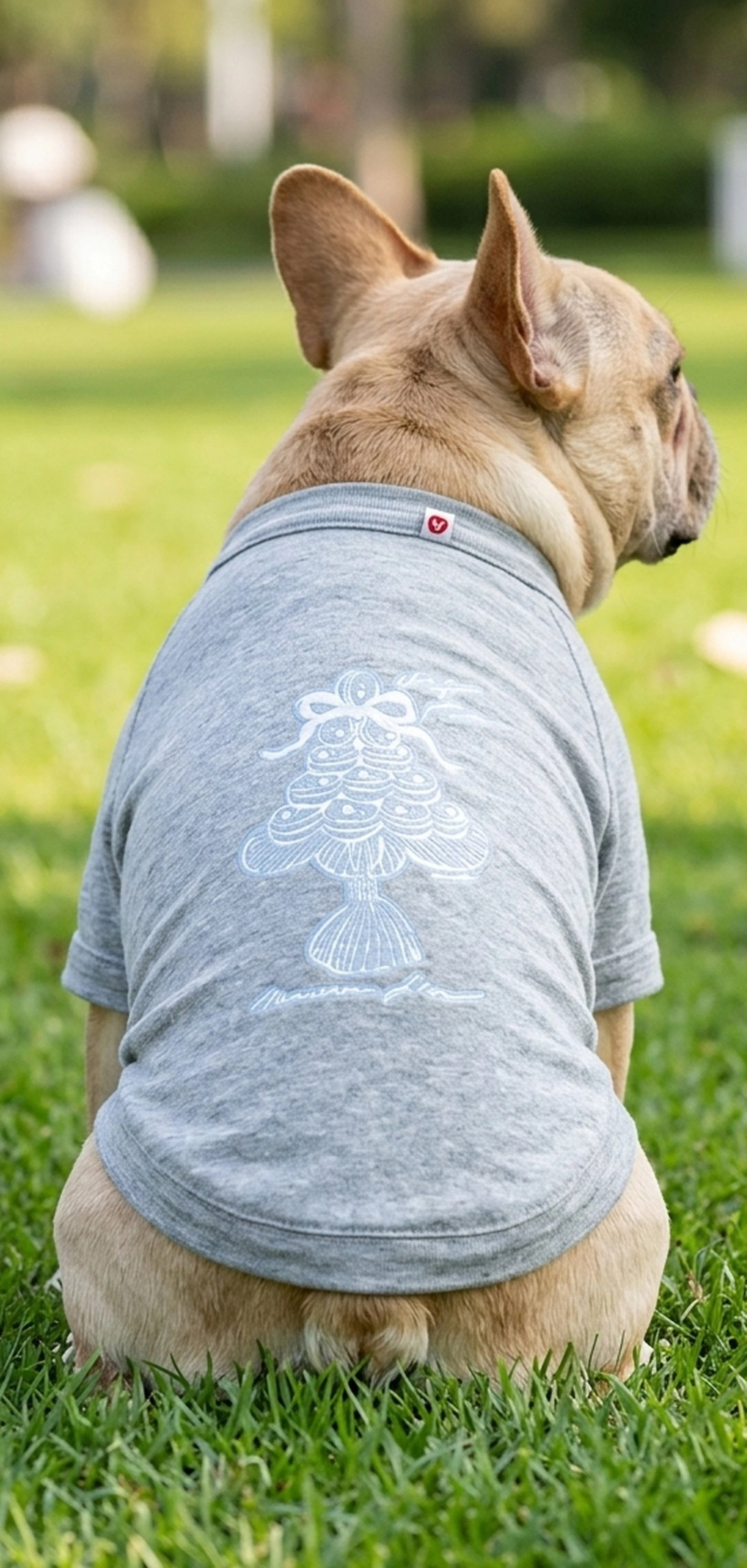 115934 Dtfprint Dogwear