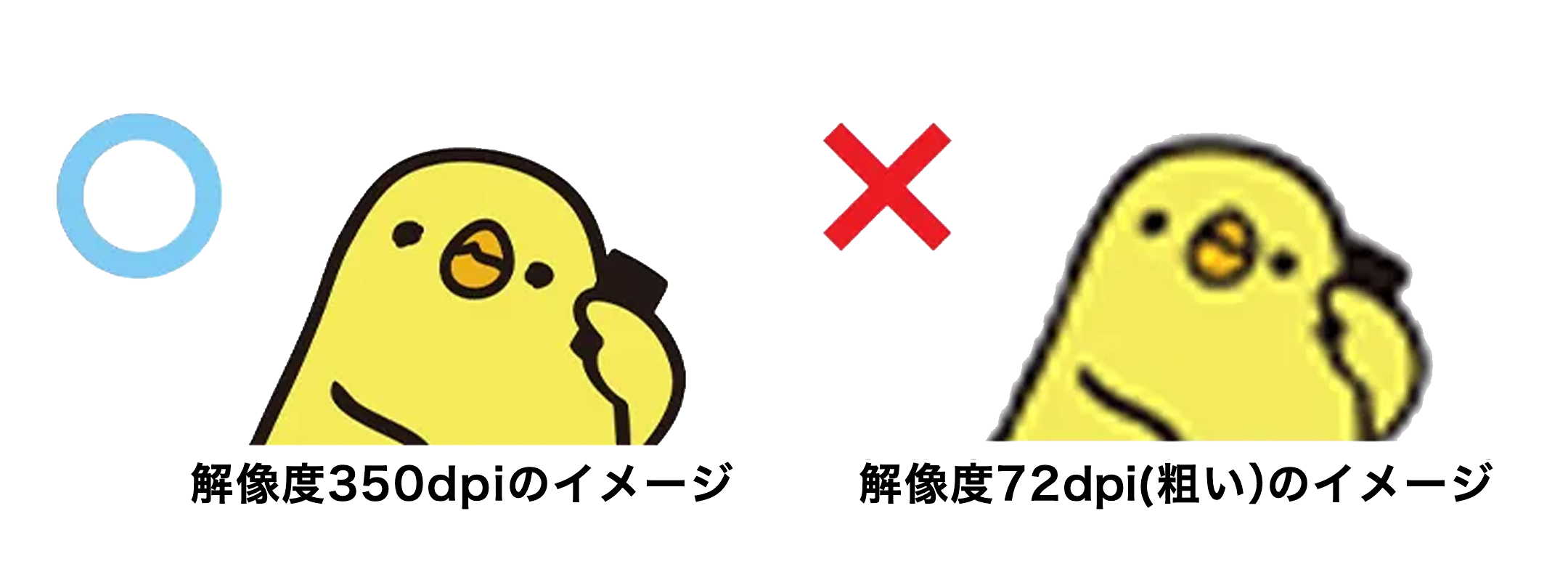 配置画像を埋め込み高解像度で用意する画面