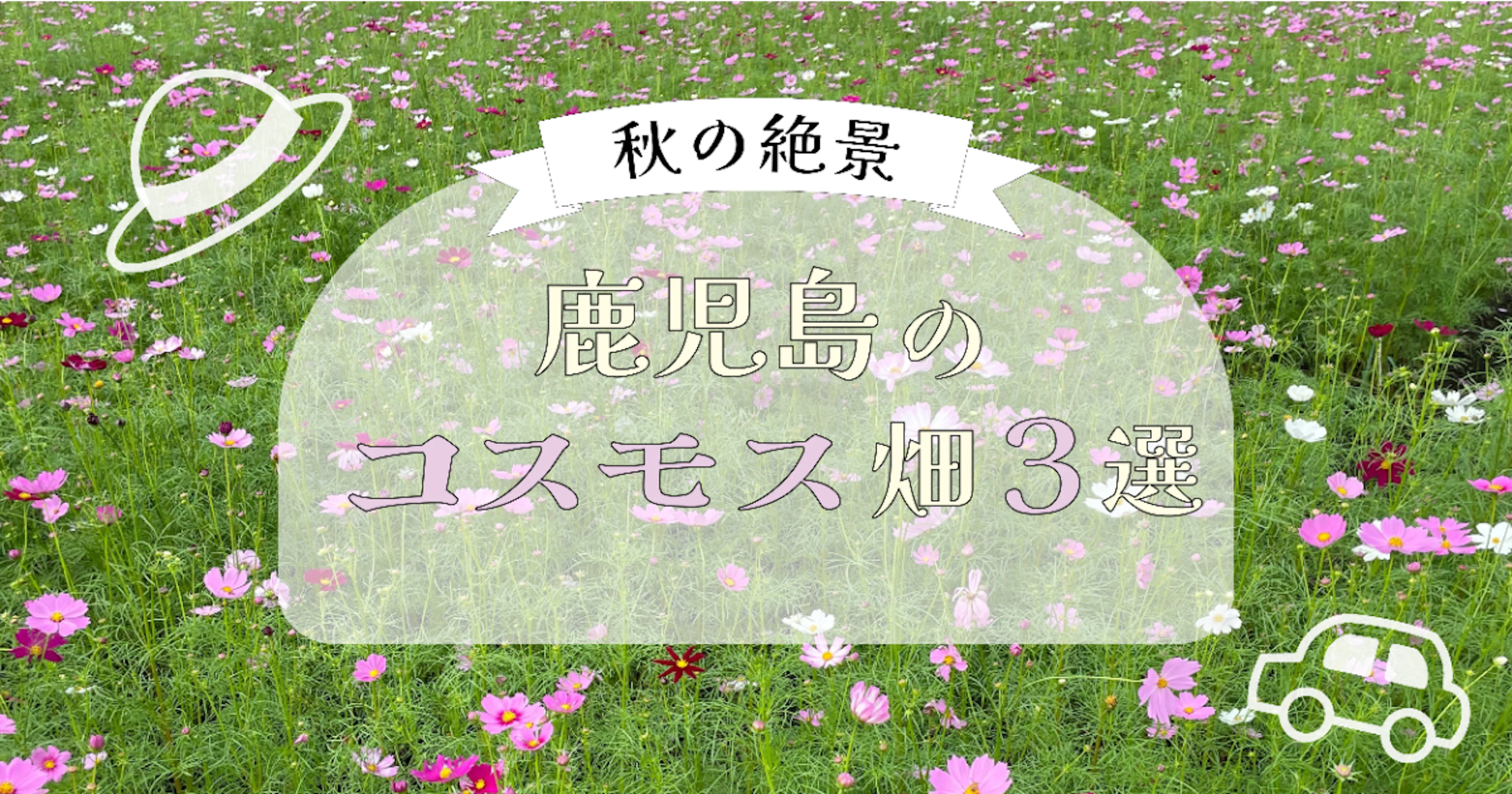 【秋の絶景】鹿児島のコスモス畑3選🌼