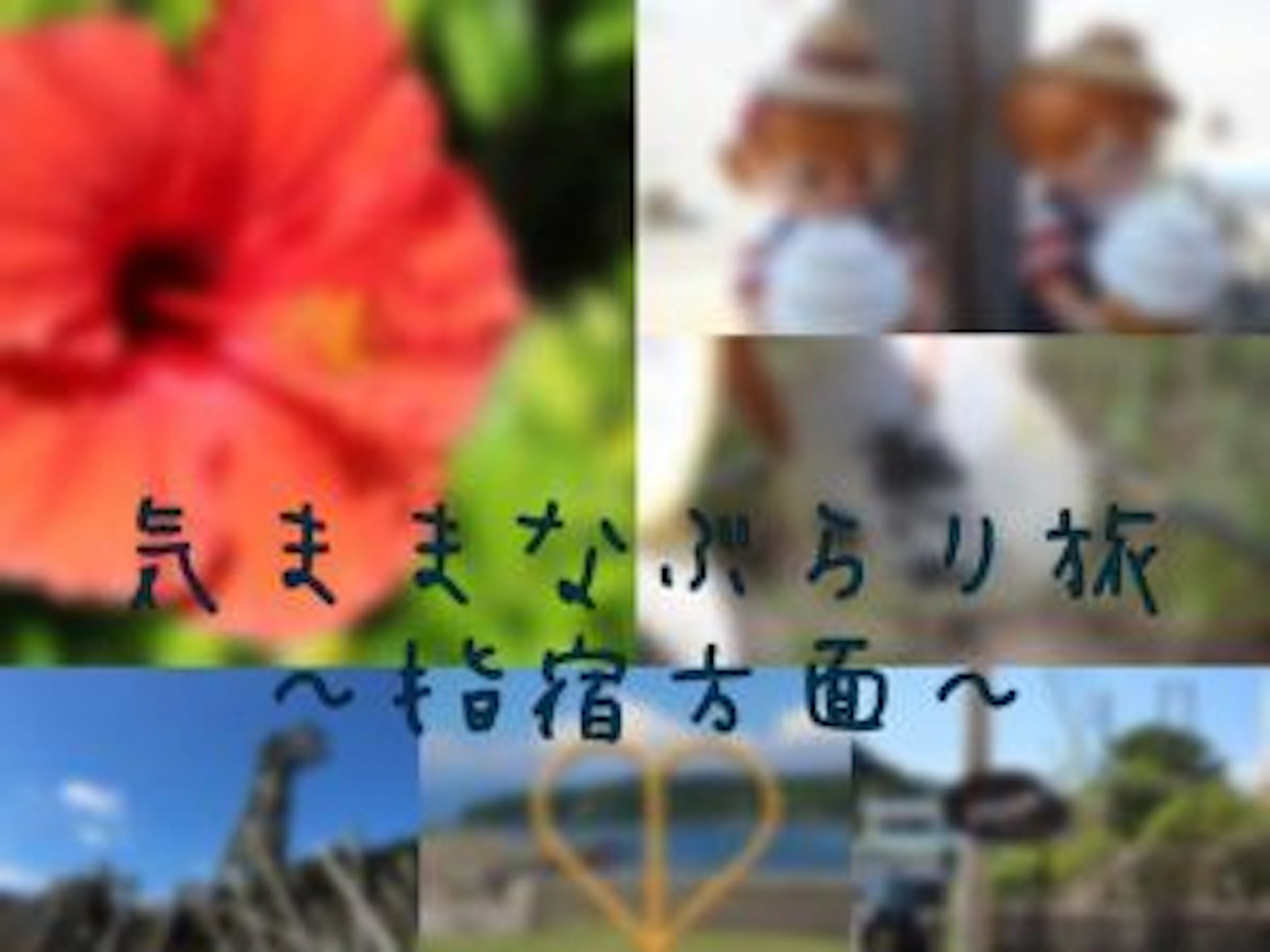 【指宿の魅力発見！】INFO女子の自由気ままなぶらり旅～指宿方面～