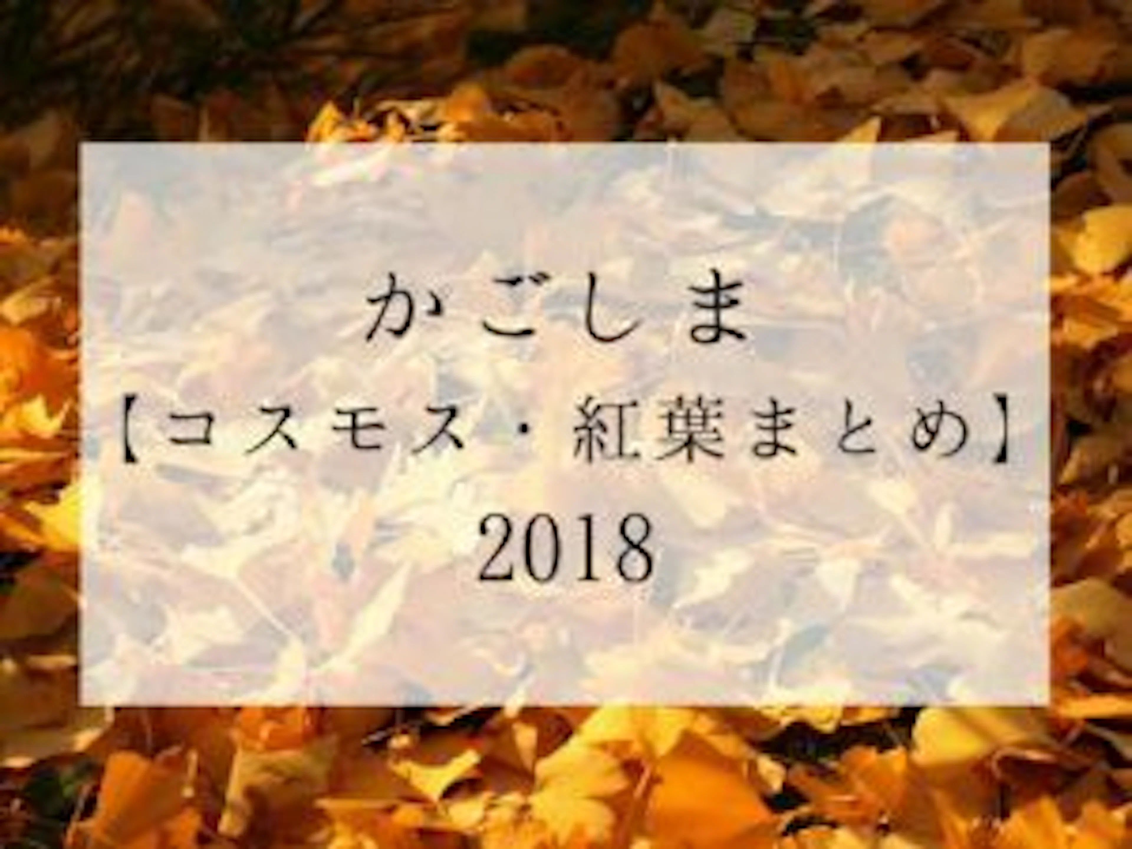 【コスモス・紅葉】鹿児島の"秋"を感じるスポットまとめ