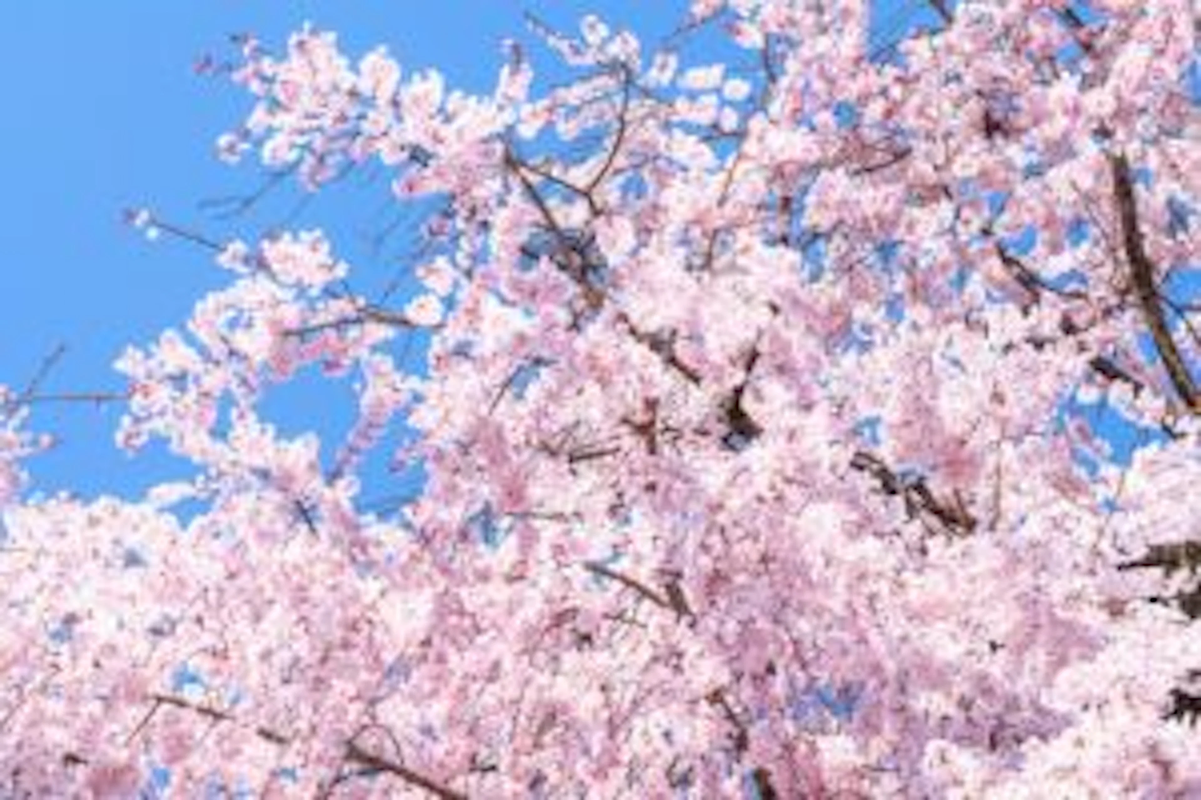 [2020年度新入生向け] 大学生の1日って？