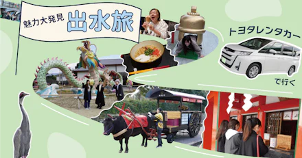 【フォトドラ ✖︎ KADAI INFOタイアップ企画 第2弾】広い車内で快適ドライブ！魅力大発見の出水旅