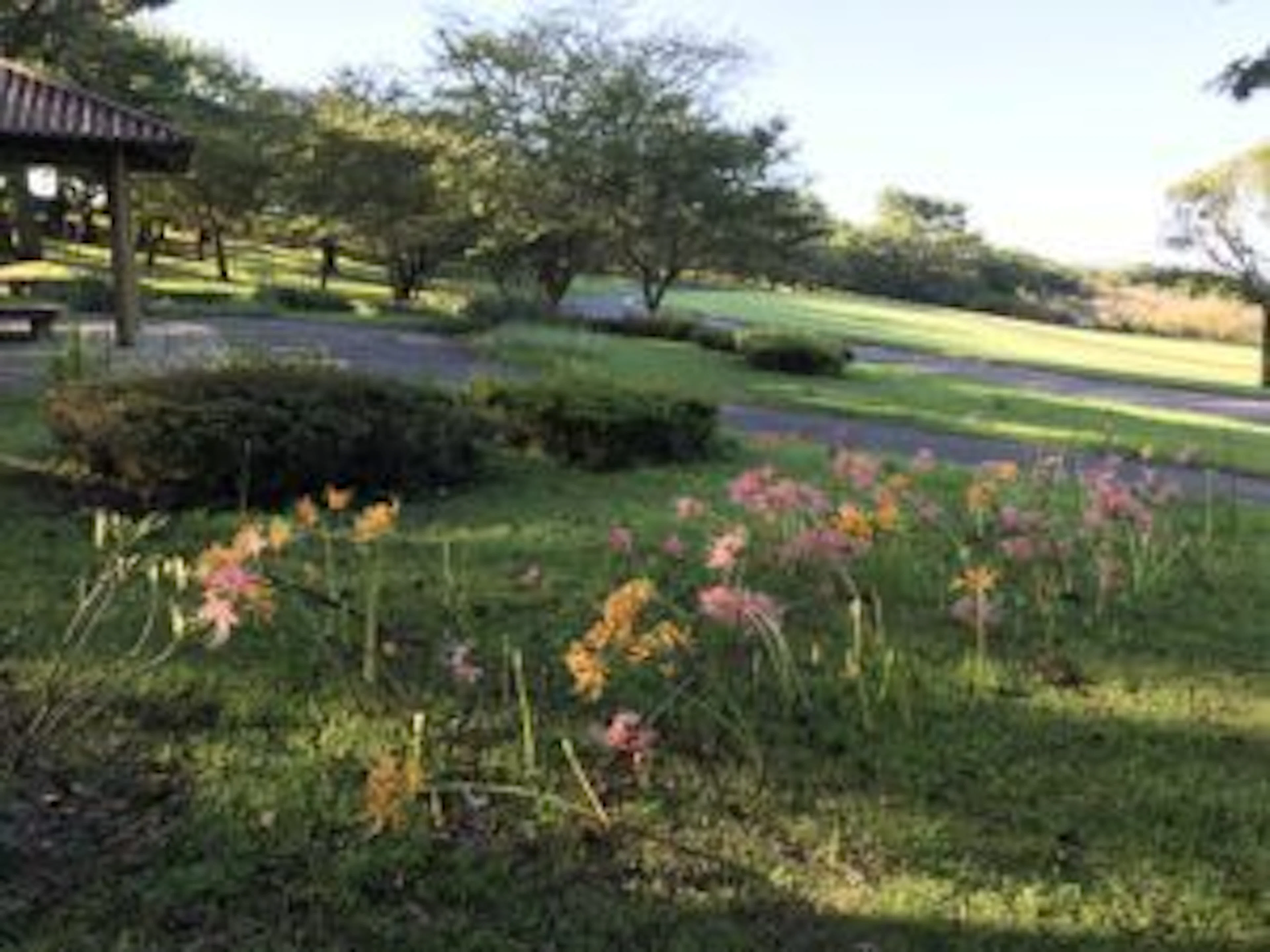 【吉野公園の秋景色】今しか楽しめない！秋を堪能ウォーキング！