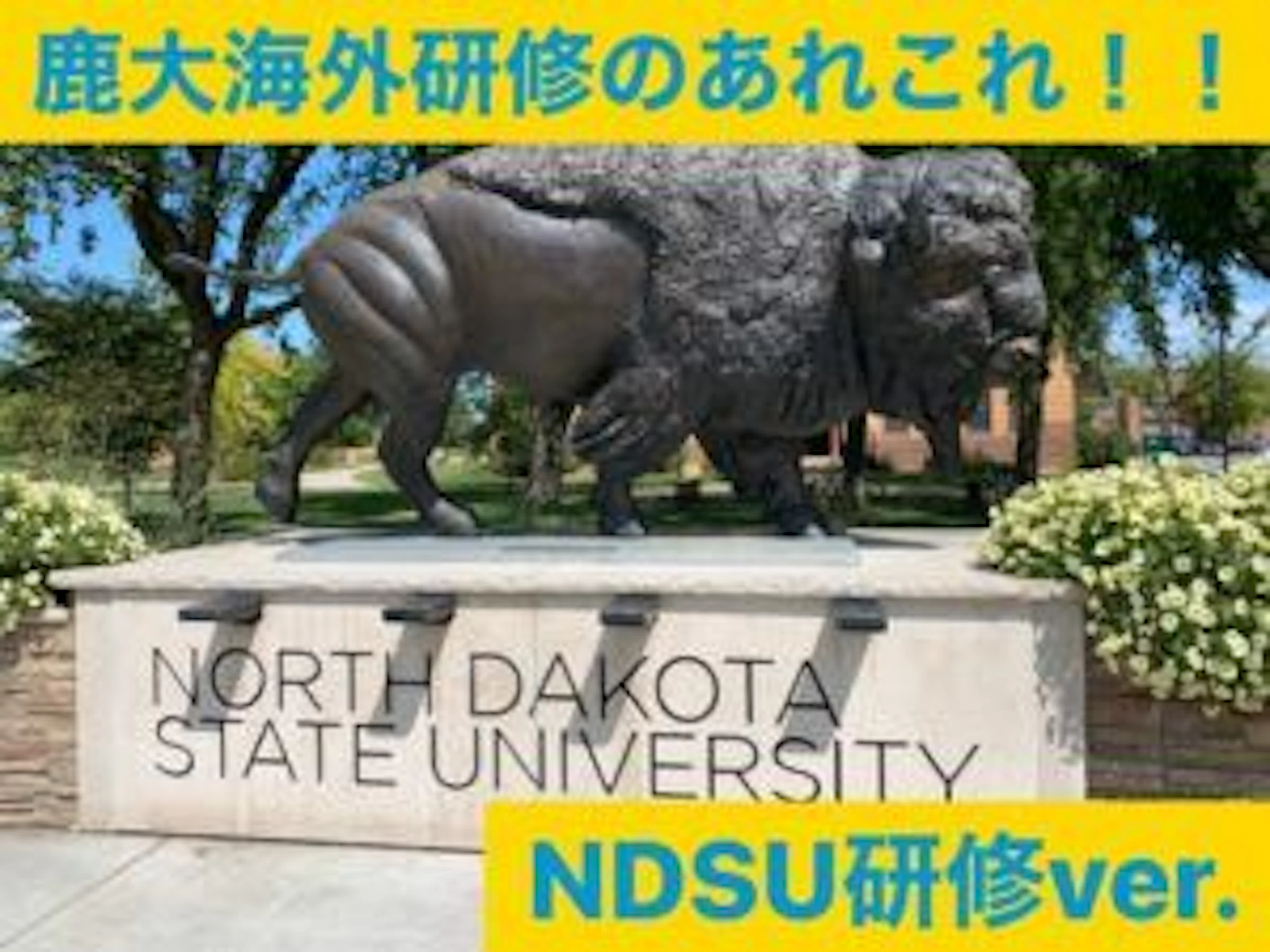 【行ってみた!】気になる鹿大海外研修のあれこれ!