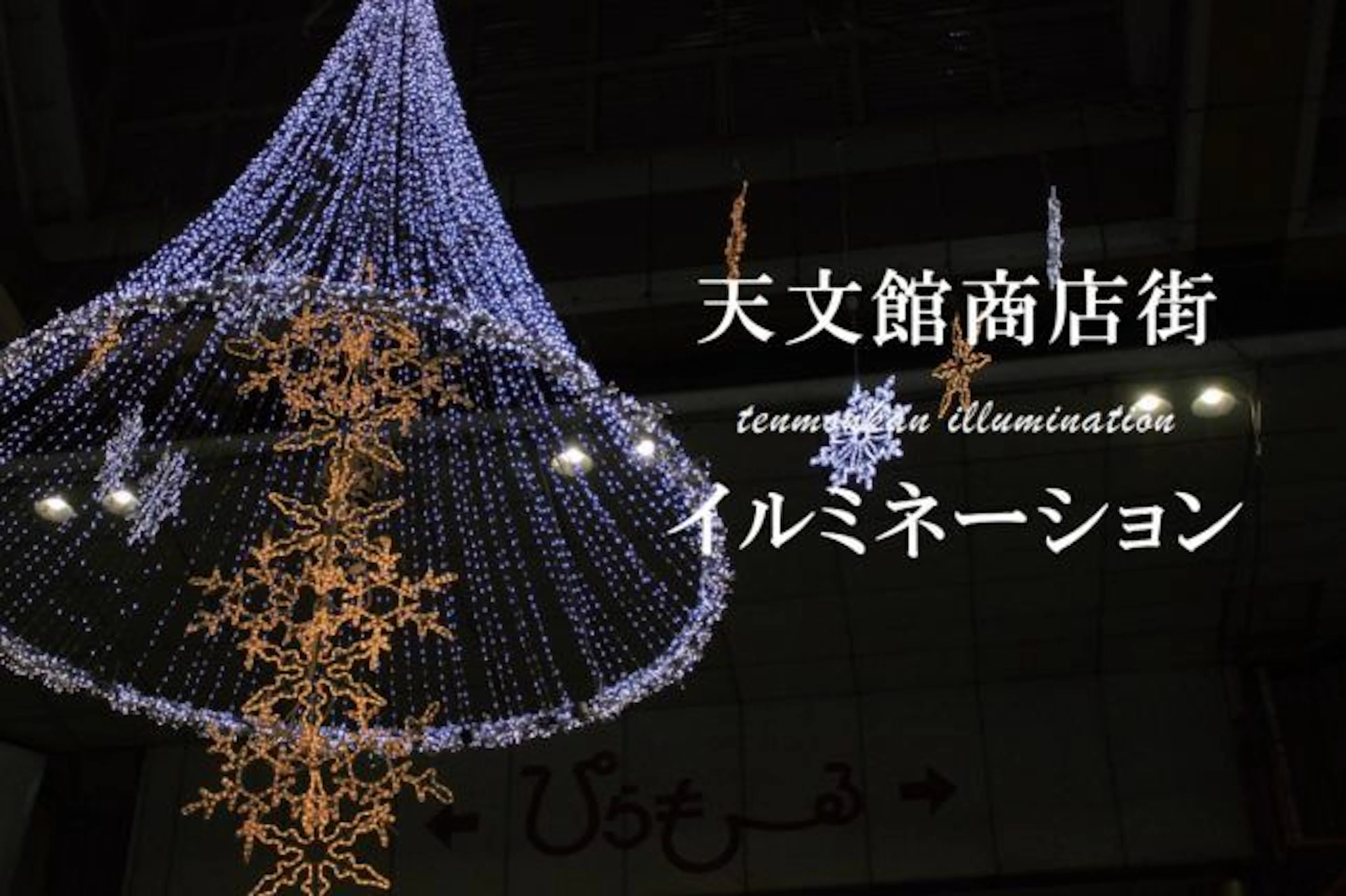 【鹿児島の冬】天文館商店街イルミネーションに行ってみた!!