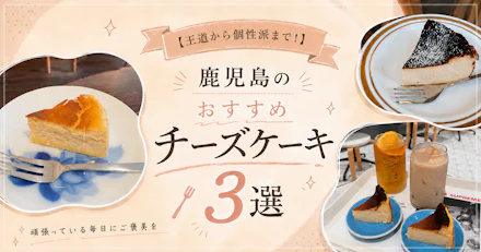 【王道から個性派まで！】鹿児島のおすすめチーズケーキ3選