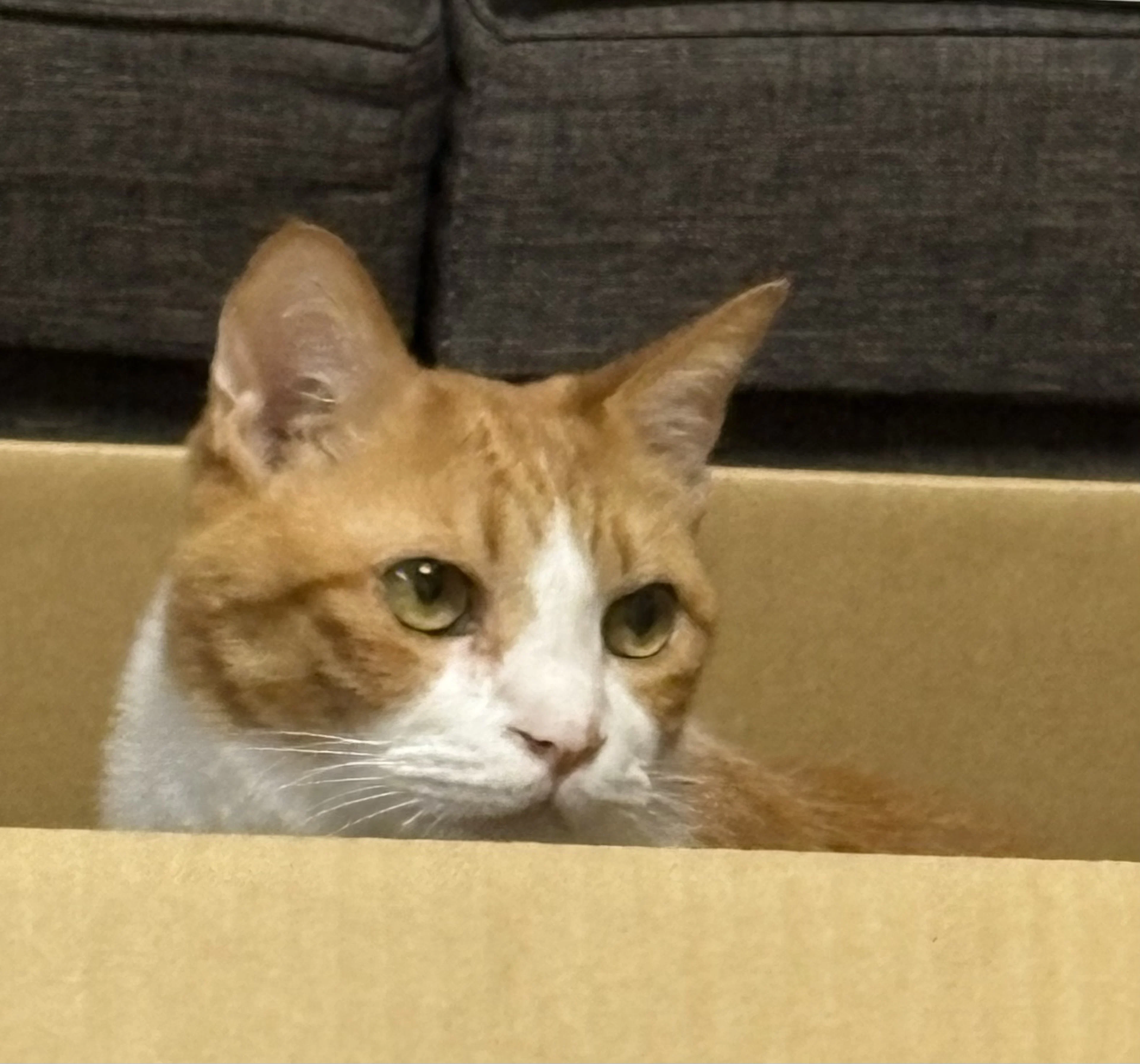 やまゆー