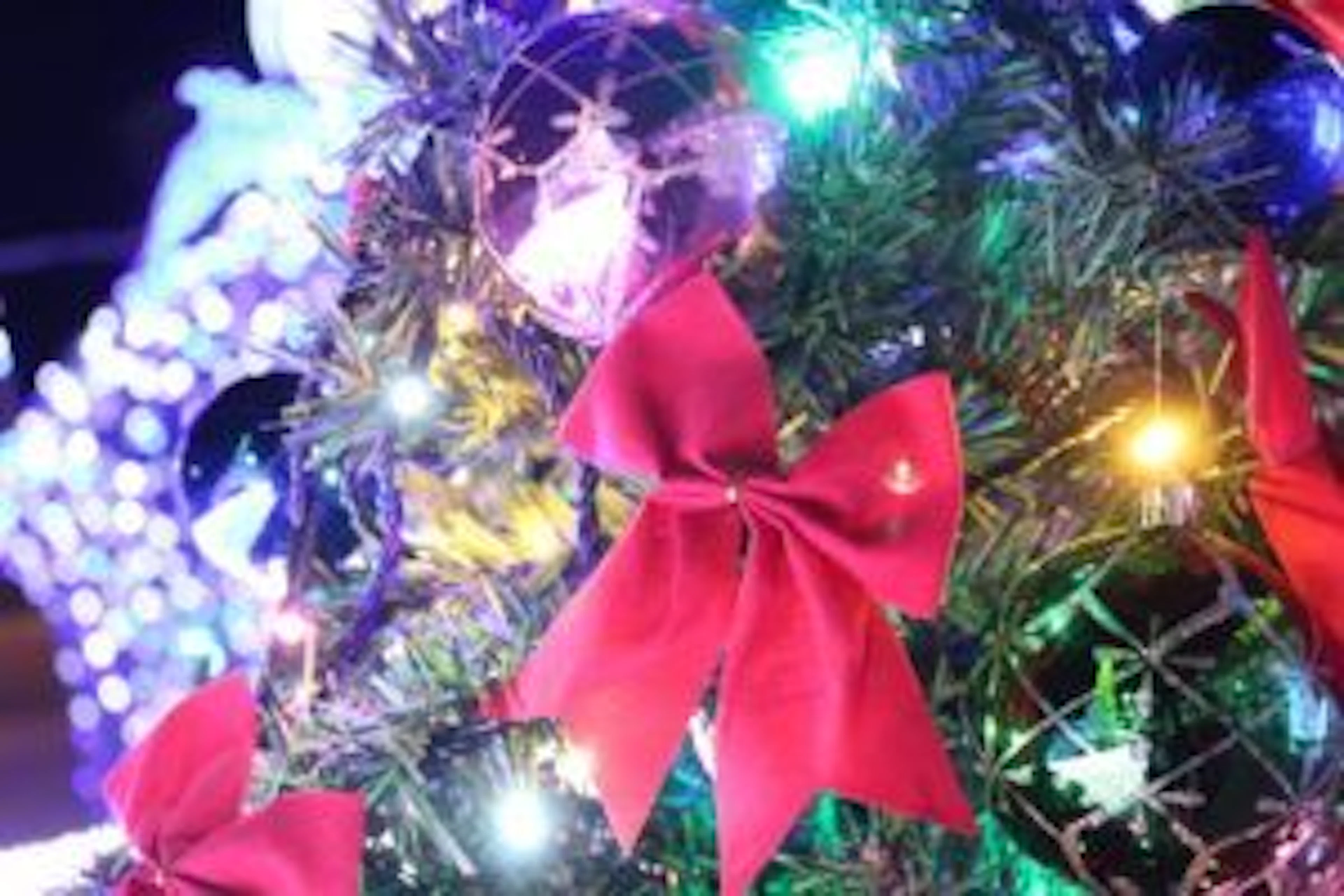 【2017年度版】鹿児島市のクリスマスイルミネーション特集