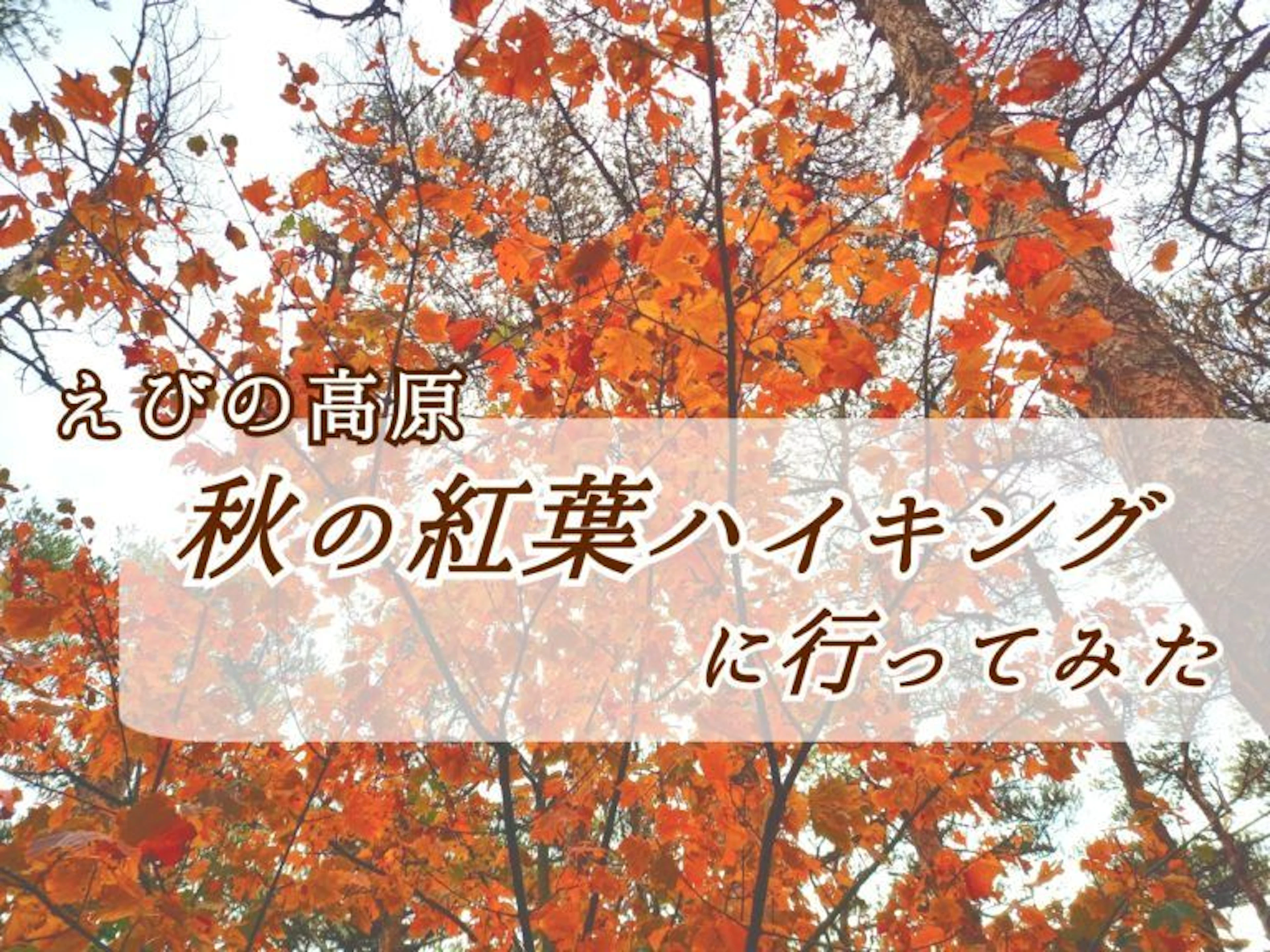 【えびの高原】秋の紅葉ハイキングに行ってみた