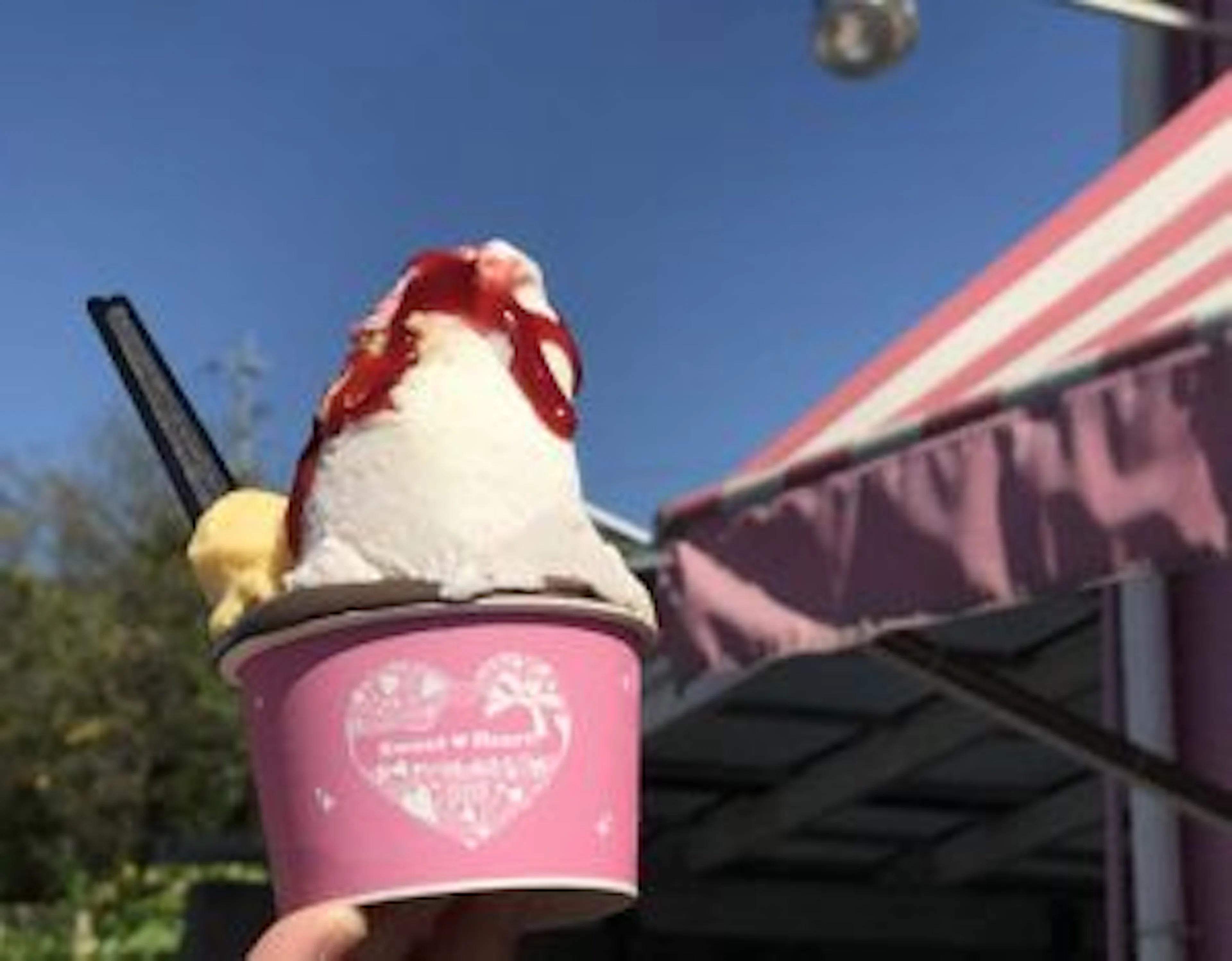 【秋こそ旬⁈】鹿児島の人気ジェラート店をCheck it‼️