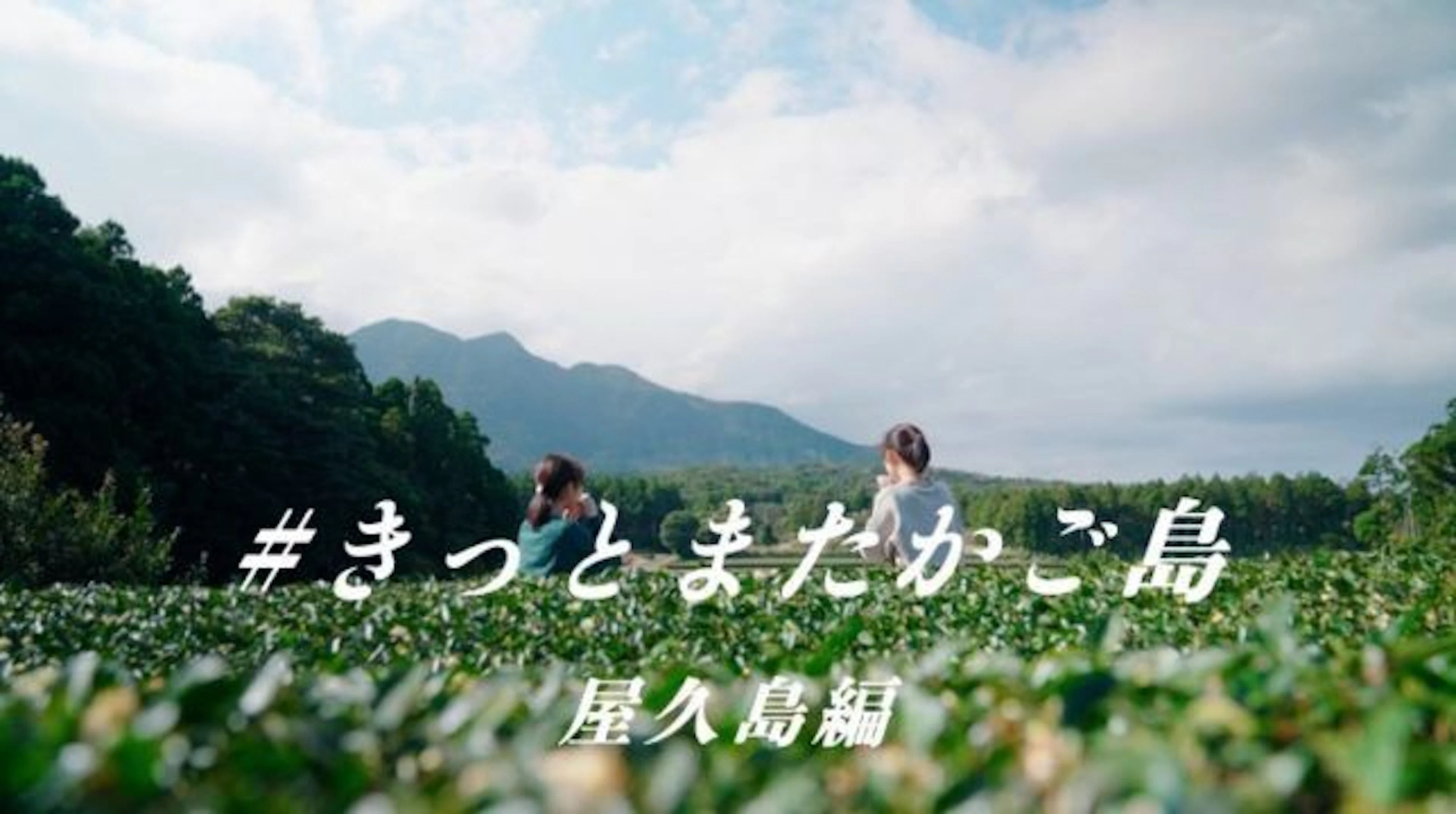 【きっとまたかご島】大学生が行く!1泊2日屋久島をギュッと満喫