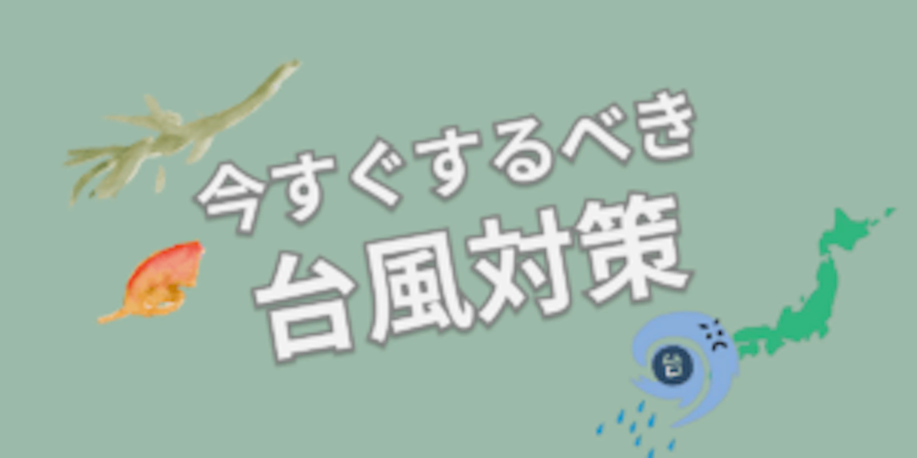 【防災】鹿児島に台風10号接近!!今すぐするべき災害対策