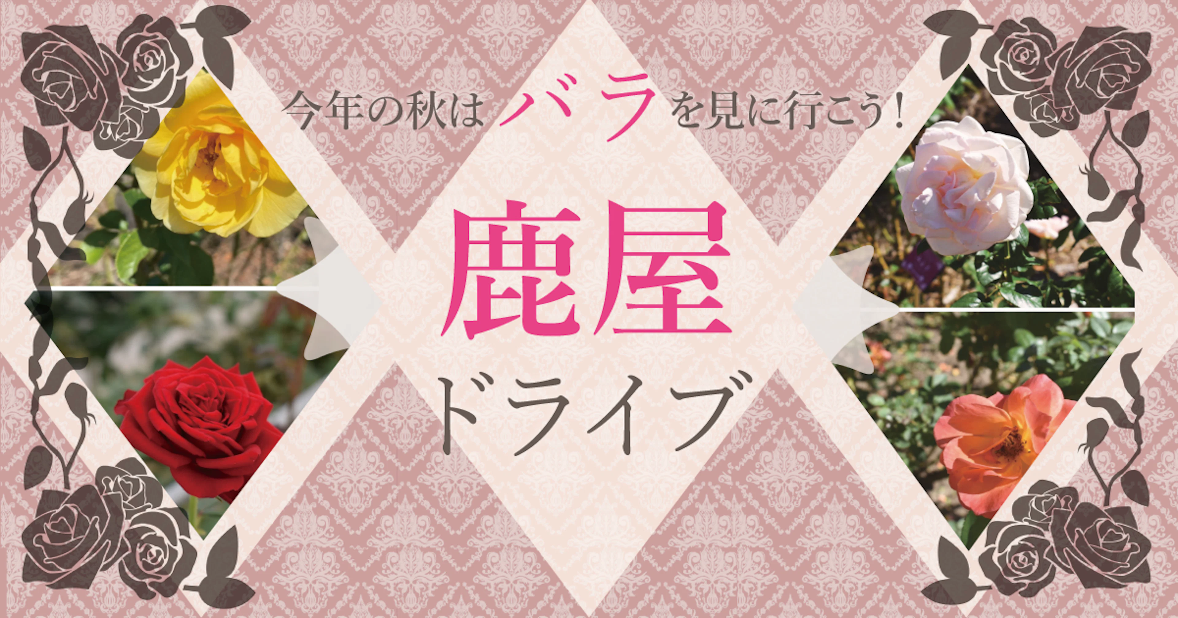 今年の秋はバラを見に行こう！～鹿屋ドライブ～