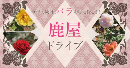 今年の秋はバラを見に行こう！～鹿屋ドライブ～
