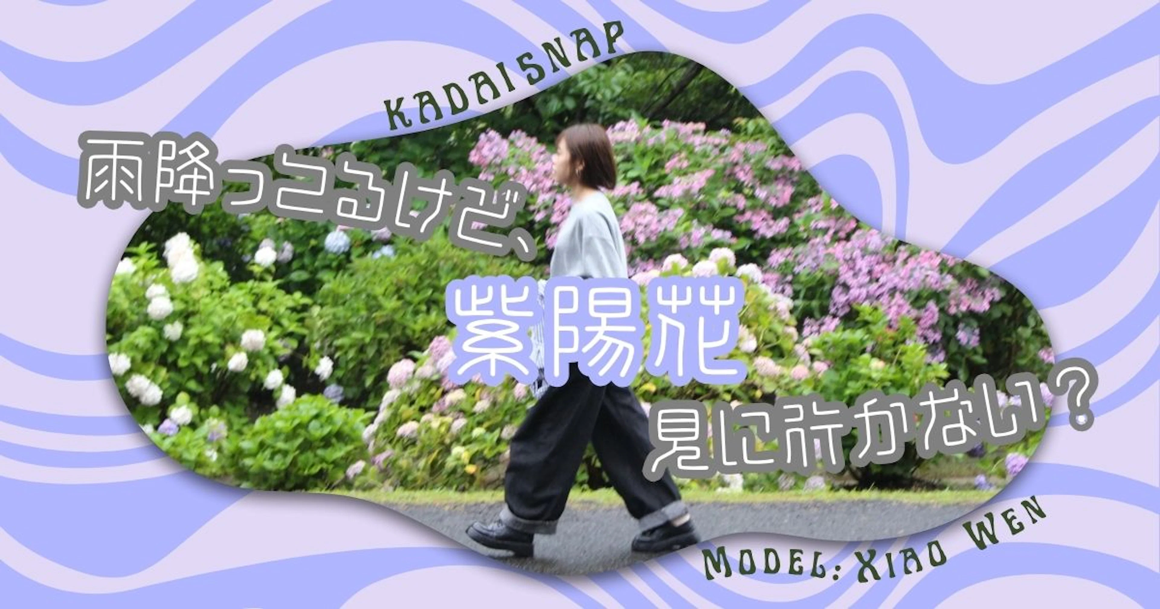 ＜KADAI SNAP＞雨が降ってるけど、紫陽花見にお出かけしない？＠洗川あじさい園