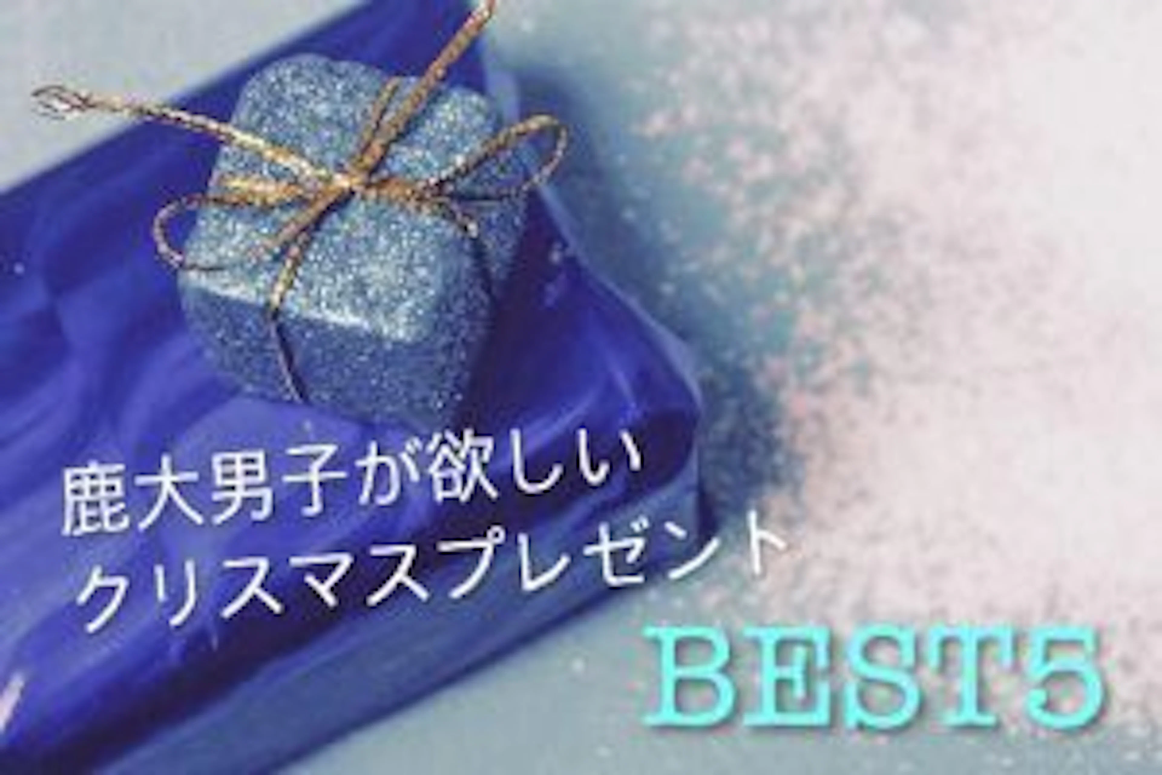 鹿大男子60人に聞いた！欲しいクリスマス🎁ランキングBEST5
