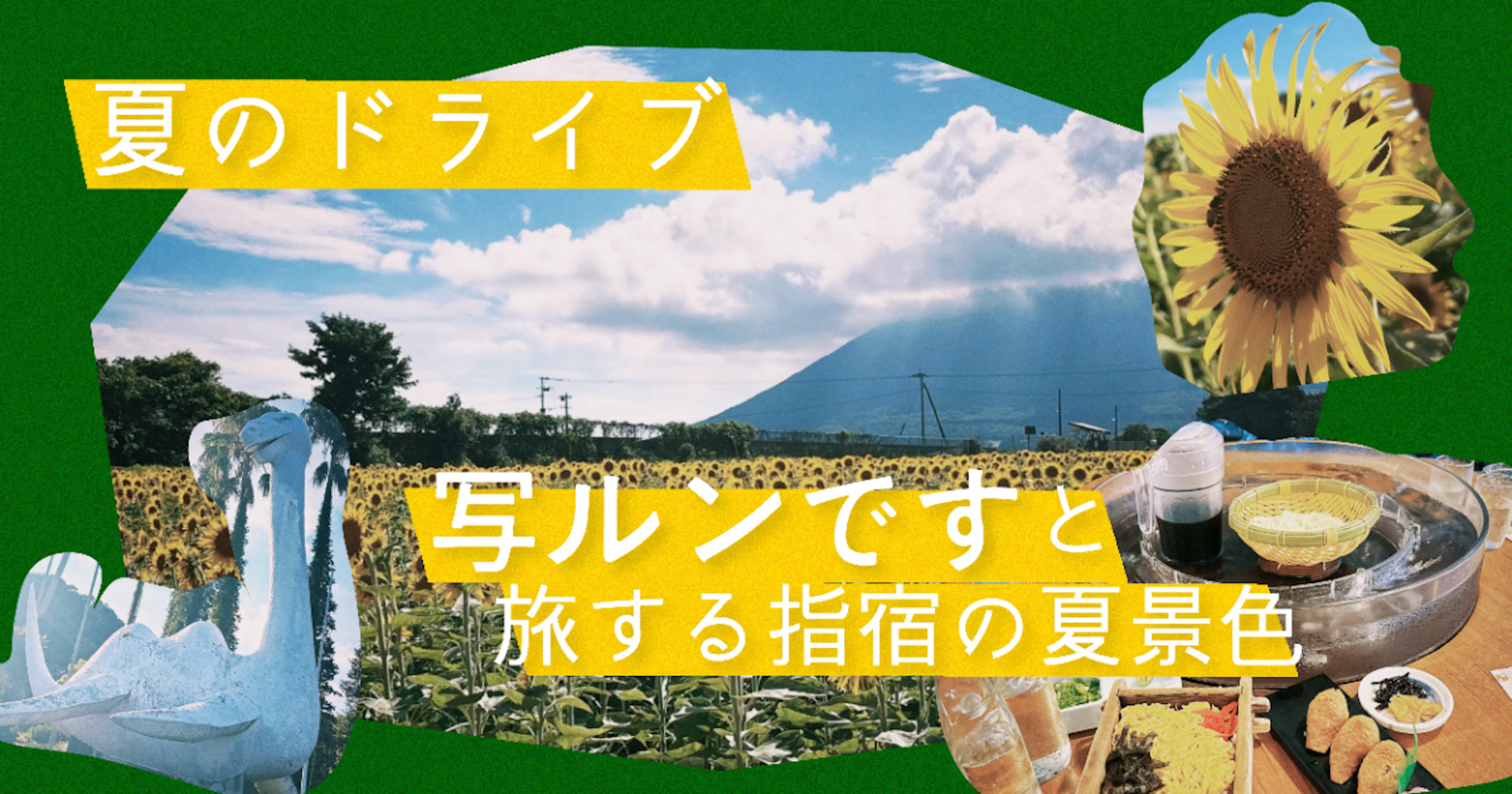 【夏のドライブ】写ルンですと旅する指宿の夏景色