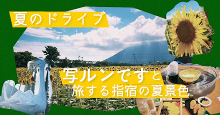 【夏のドライブ】写ルンですと旅する指宿の夏景色