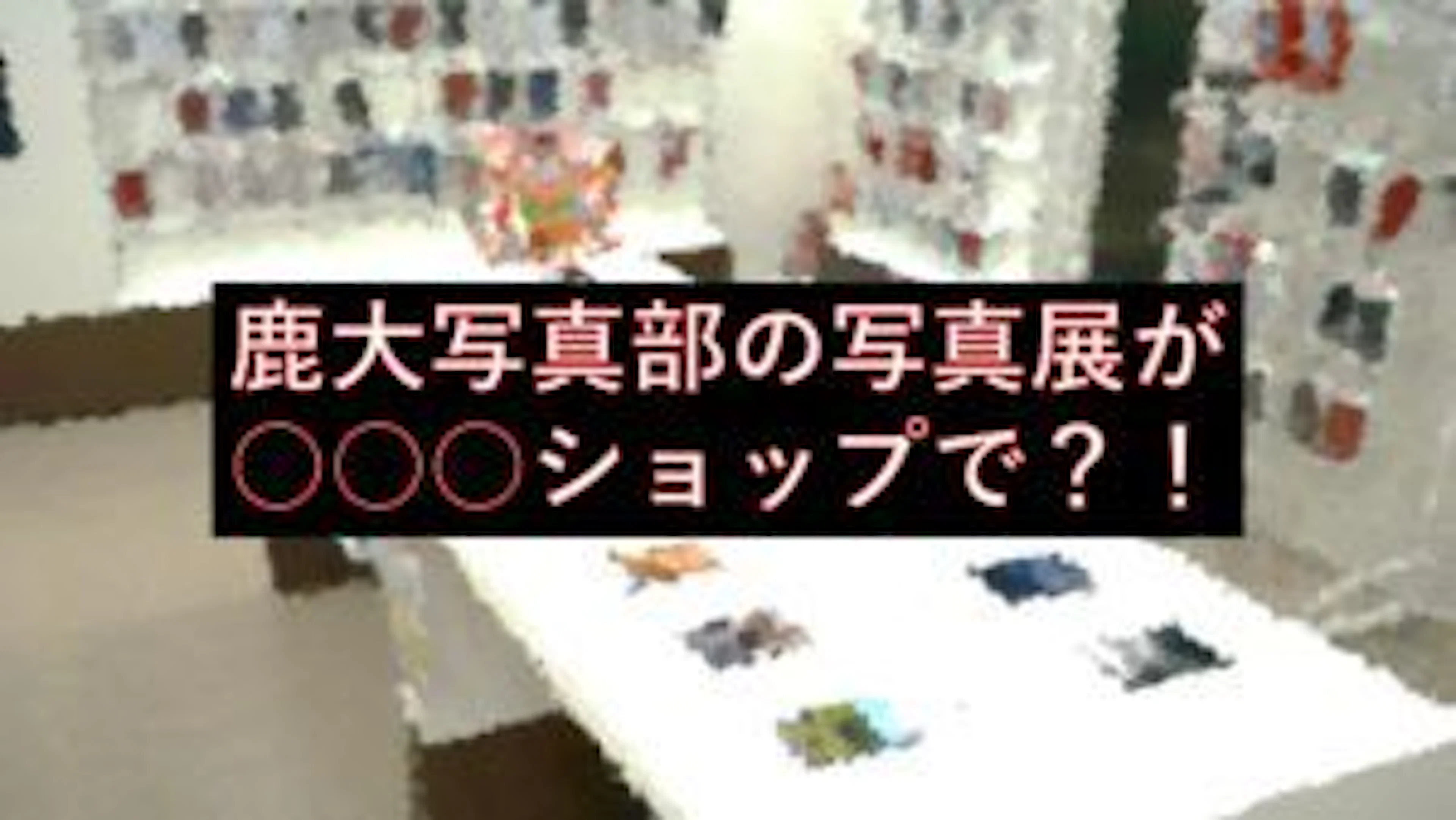 【写真好き要注目！】鹿大写真部の写真展が〇〇〇ショップで？！