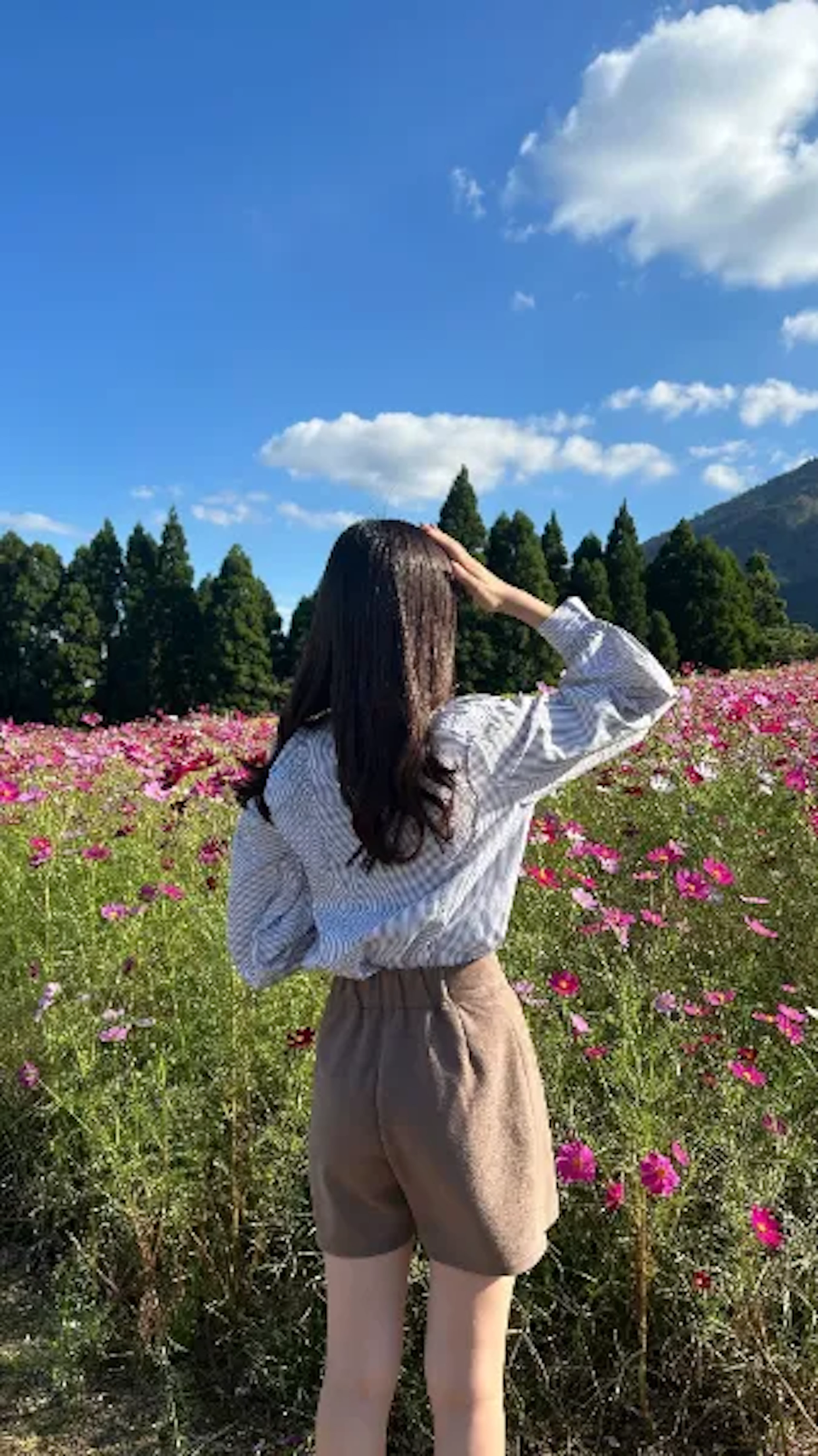 みゆう