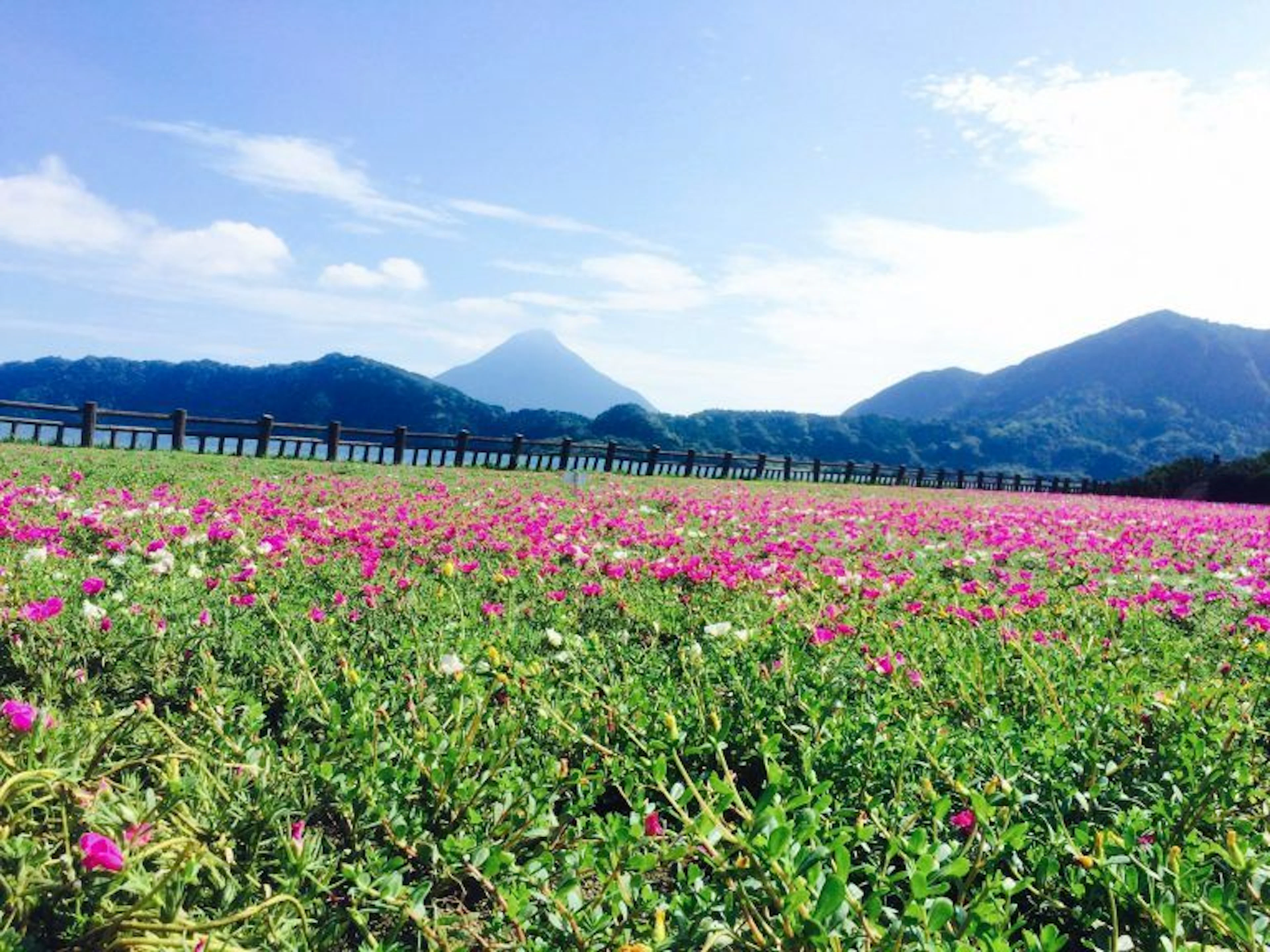 【大学生のうちに行きたい！】鹿児島のおすすめ絶景スポット４選！