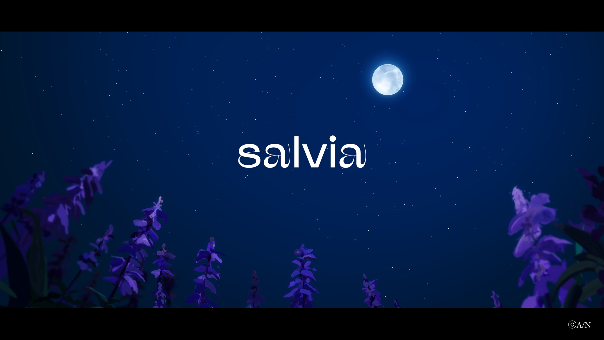 Nornis 2nd Single『salvia』2023年9月27日(水)リリース！あわせて