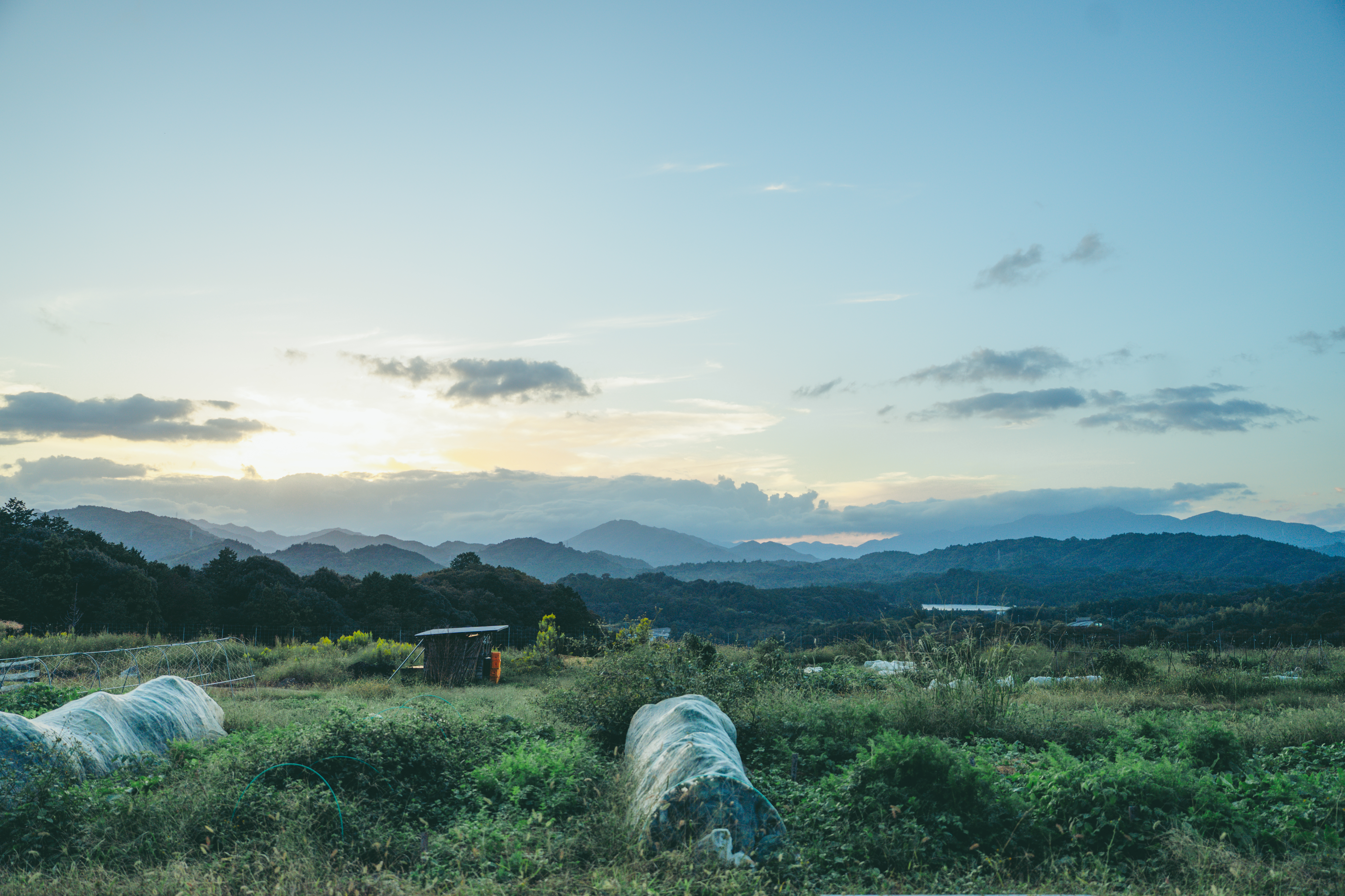 第4期、自給自足カレッジは新体制へ 多様な講師と育む、これからの自給自足の学び