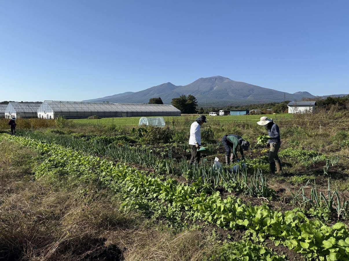 軽井沢・発地 FunFarm畑の活動風景