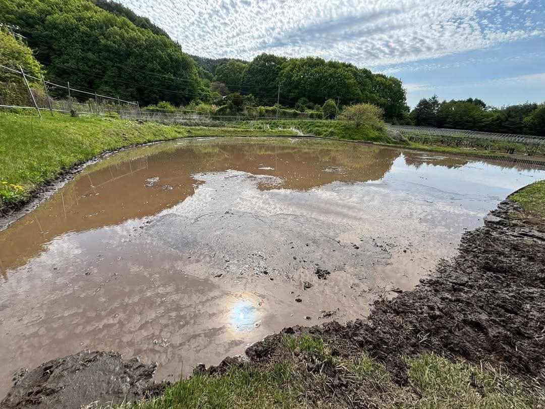 佐久穂田んぼの活動風景